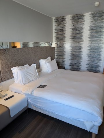 达喀尔特雷加铂尔曼酒店-客卧