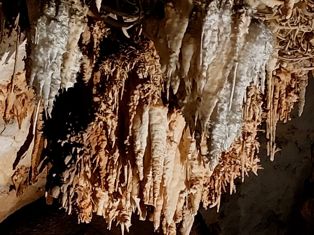 Cueva De Pozalagua-Valle de Carranza必去景点