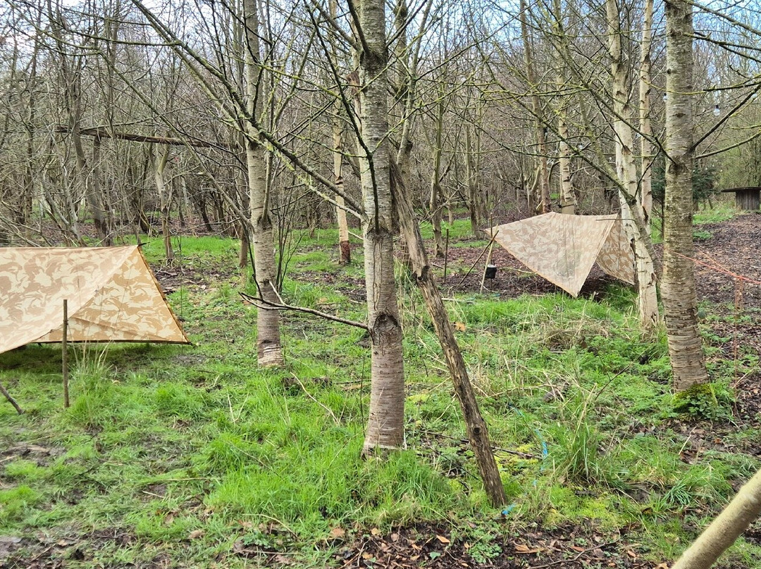 Wild Bushcraft Company-Corwen必去景点