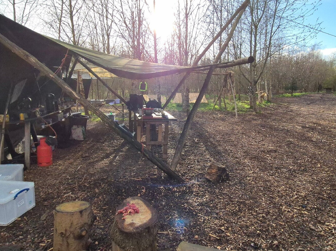 Wild Bushcraft Company-Corwen必去景点