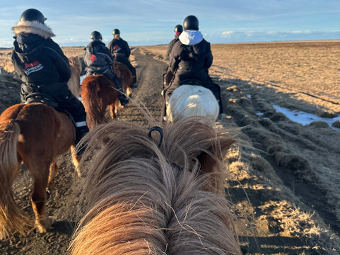 Eldhestar Volcano Horses-Olfus必去景点