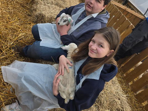 Hillview Animal Park-Alloa必去景点