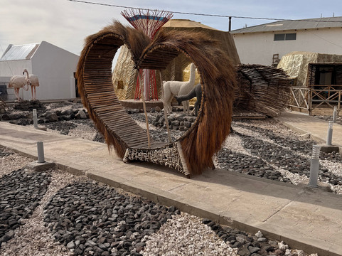 萨尔水晶萨马纳酒店主图