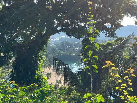 瓦努阿图芒果度假村主图