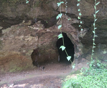 Gruta de Sede Figueira-Chapeco必去景点