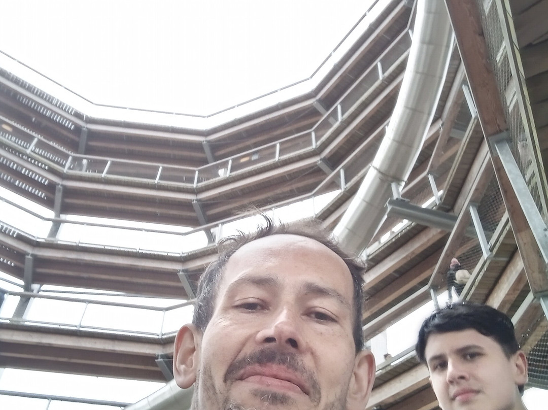 Avondale House & Forest Park-County Wicklow必去景点