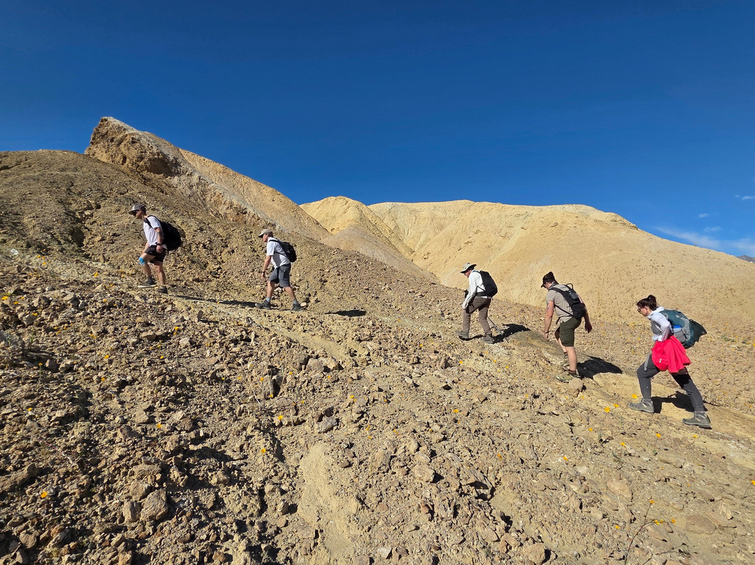 Mountain Travel Sobek-埃默里维尔必去景点