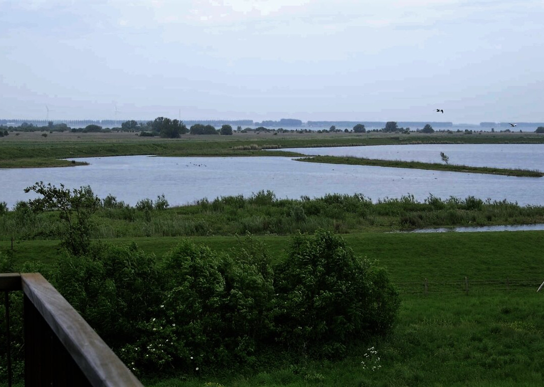 Uitkijktoren Beningerslikken-Zuidland必去景点