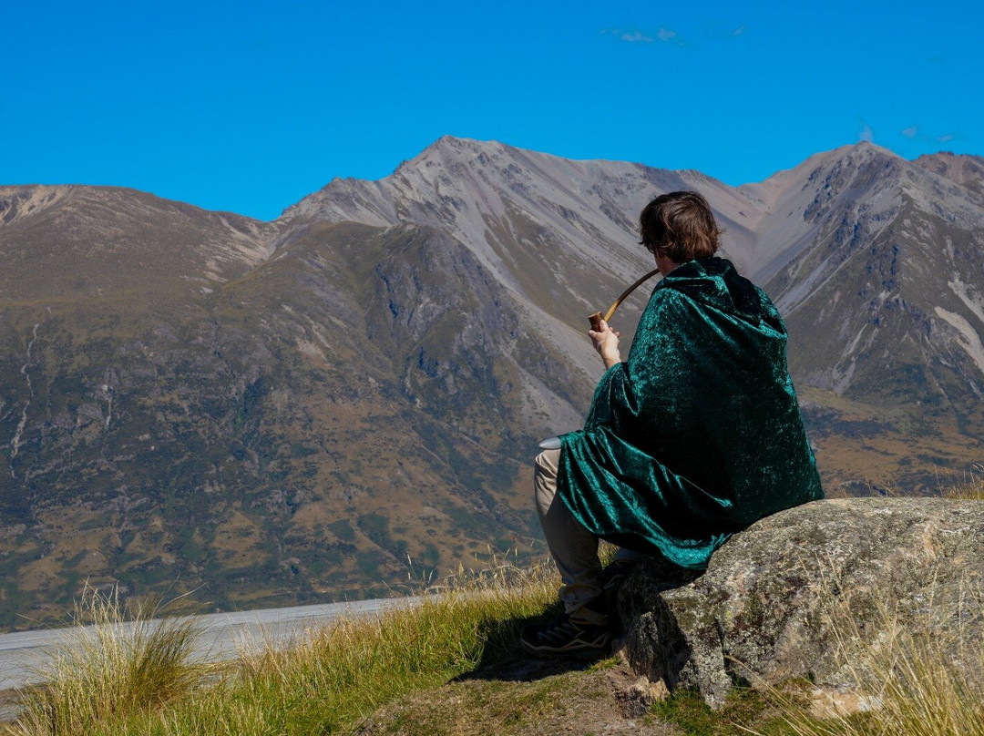 Red Carpet Tours-奥克兰中心地区必去景点