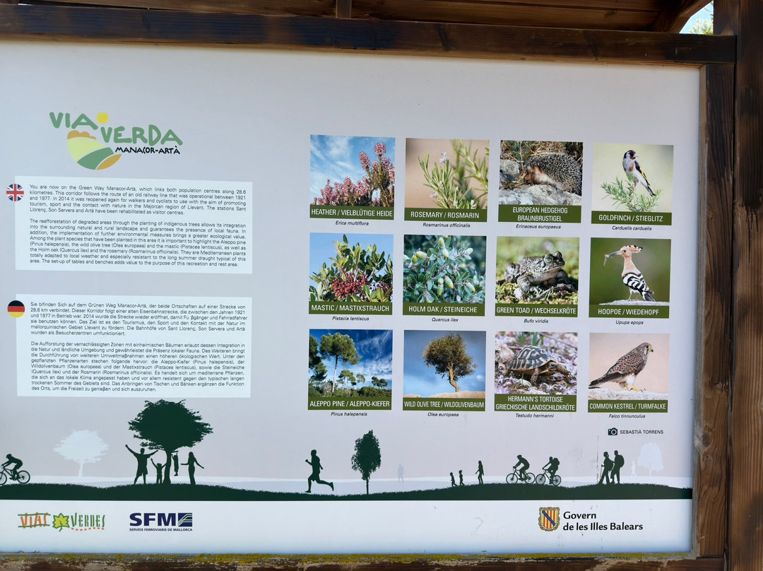 Via Verde Manacor-Arta-Arta必去景点