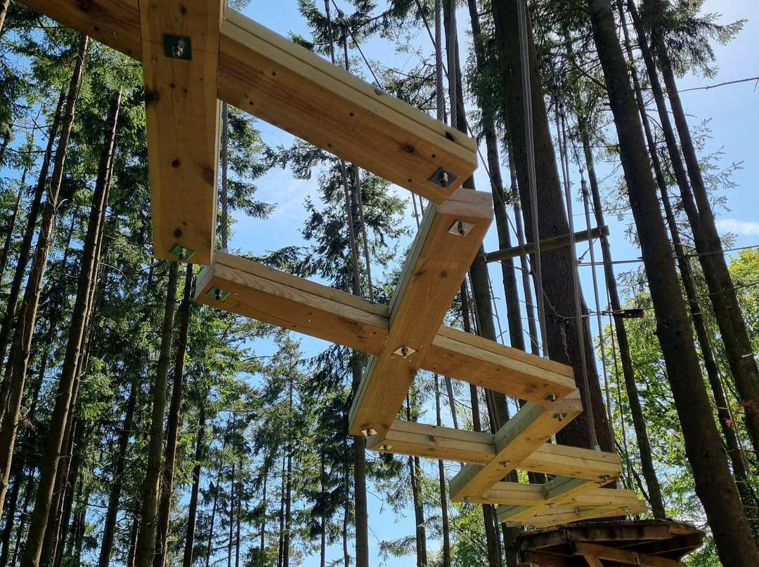 The Tunnel Tree Tops High Ropes-Charmouth必去景点