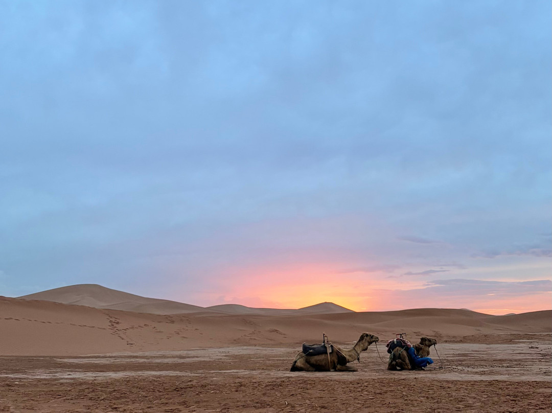 Zagora Desert Travel-扎古拉必去景点
