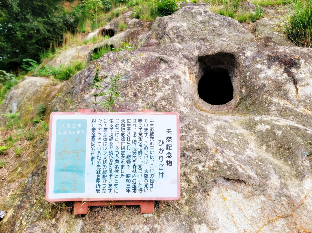 Yoshimi Hyakuana Tombs-吉见町必去景点