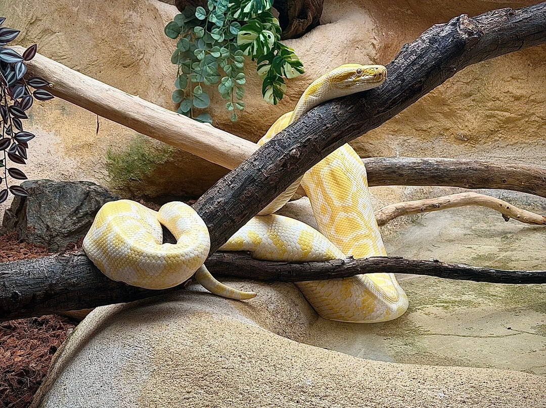 Le Refuge de l'Arche-Chateau-Gontier必去景点