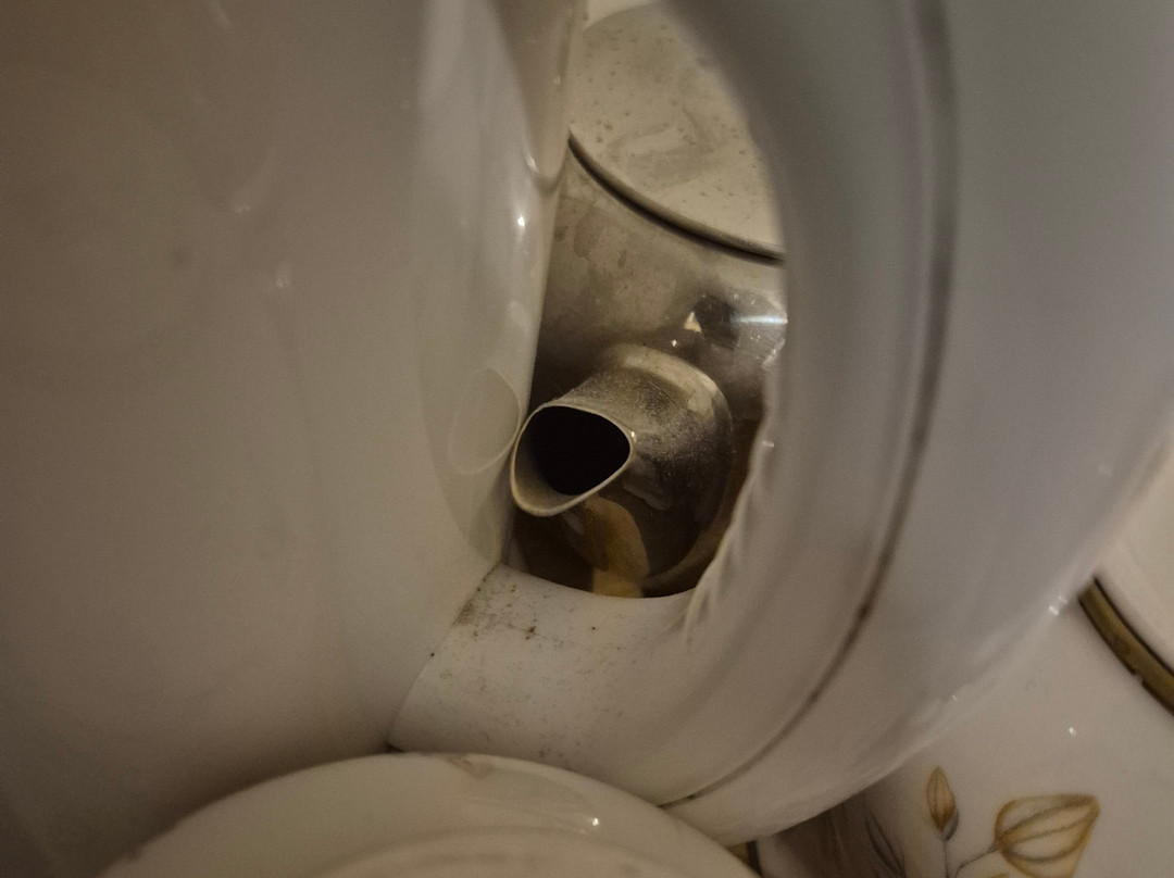 紫丁香住宿加早餐旅馆主图