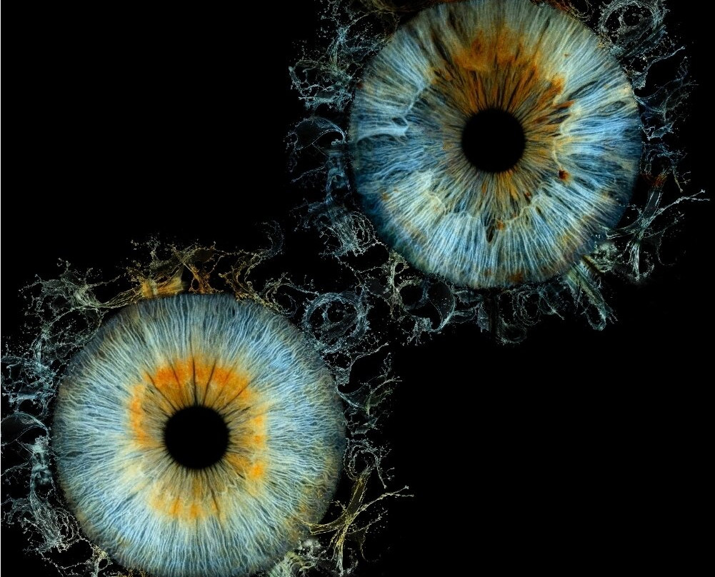 Iris Galerie Mall of the Netherlands