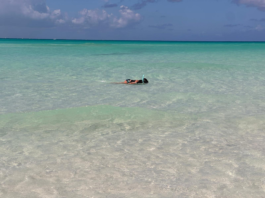 雷夫风歌的小屋主图