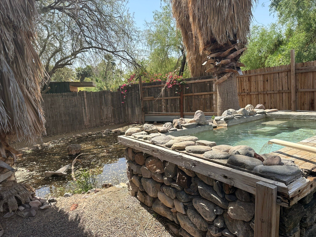 El Dorado Hot Springs-Tonopah必去景点