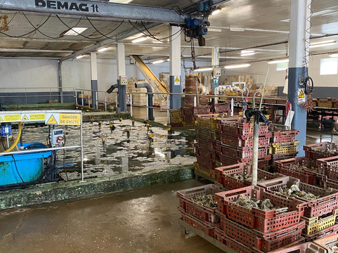 La Ferme Marine-康卡勒必去景点