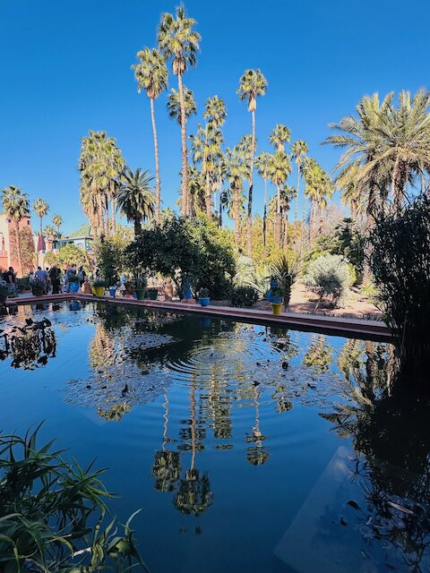 Musée Yves Saint Laurent Marrakech-马拉喀什必去景点