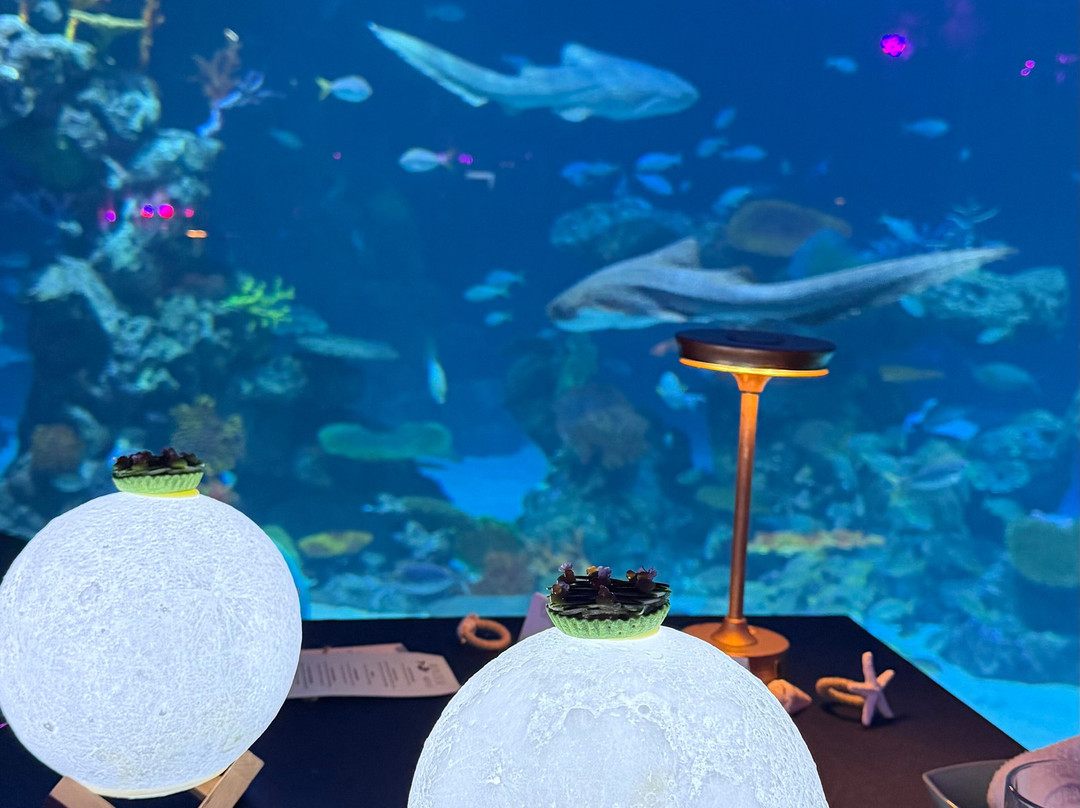 Aquaria Phuket Thailand-普吉镇必去景点