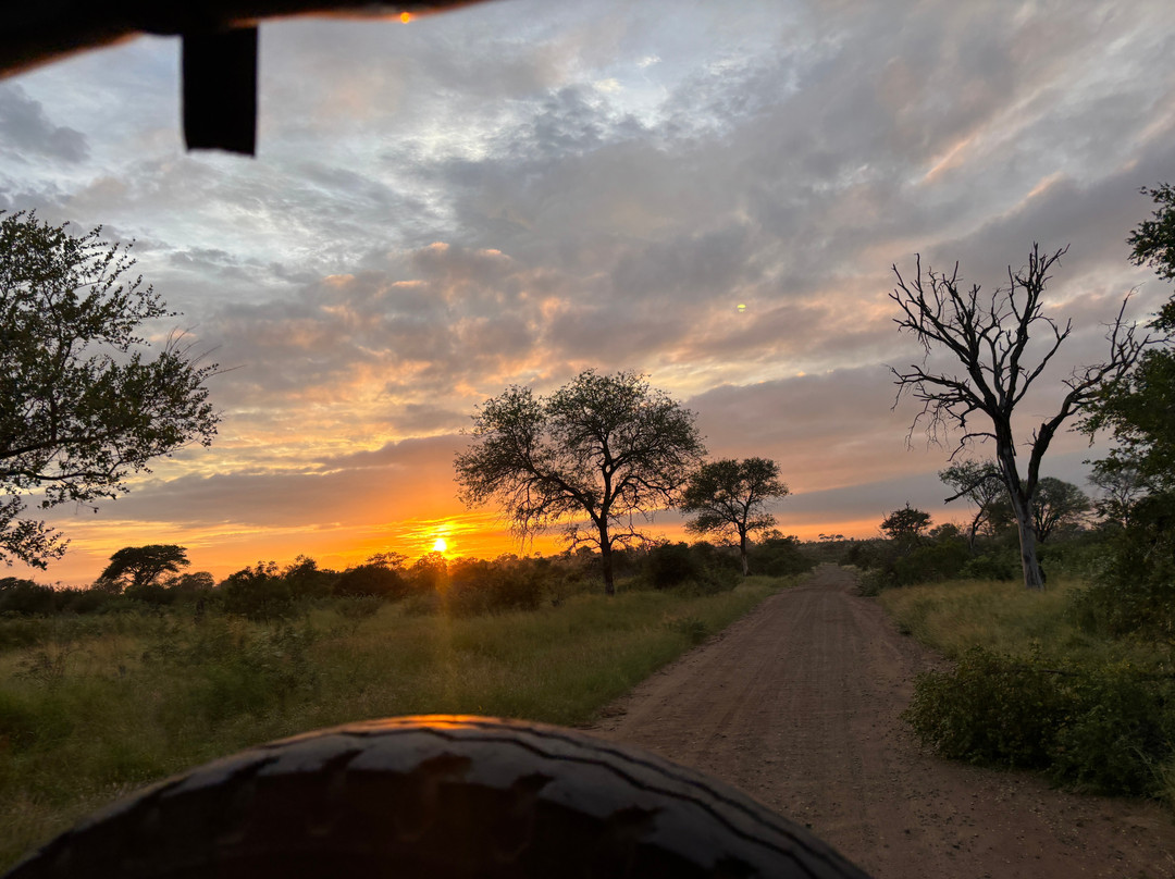 Honey Badger Safaris Kruger Tours-玛洛斯帕克必去景点
