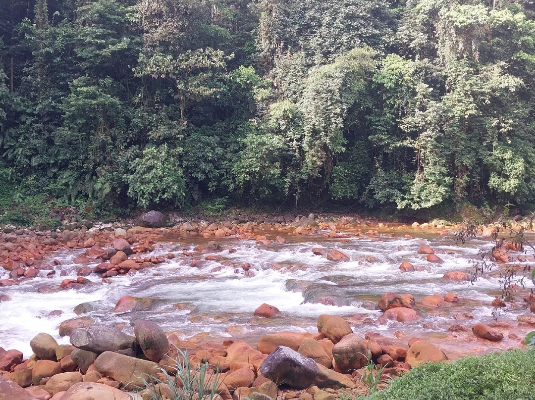 Recreo Verde Hotel Hot Springs and Spa-阿拉辉拉必去景点