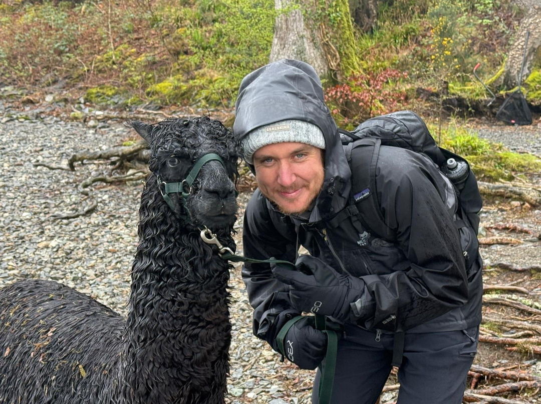 Alpacaly Ever After-Portinscale必去景点