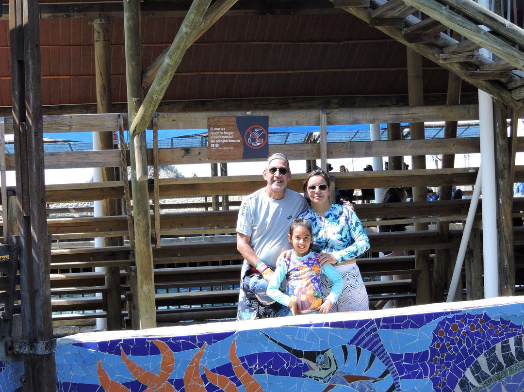 Acuario Mundo Marino-圣玛尔塔必去景点