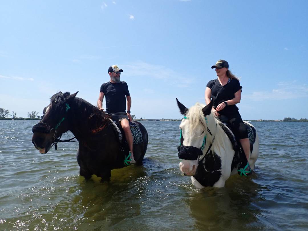 C Ponies Beach Horseback Rides-布雷登顿必去景点