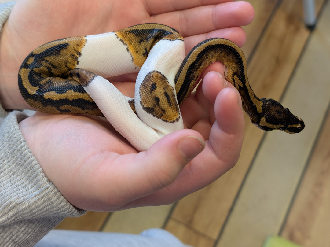 Really Wild Planet-比迪福德必去景点