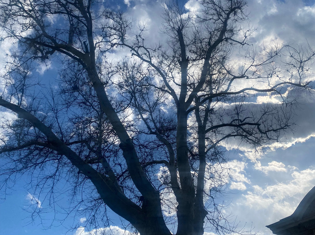 Braila city tour /Tur ghidat Braila-Braila必去景点