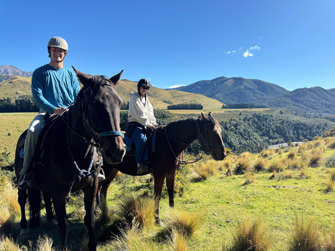 Rubicon Valley Horse Riding-Thornton必去景点