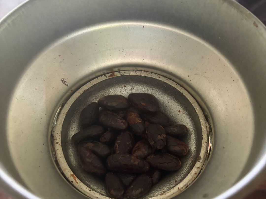 Cafe & Cacao Tour Bijagua-Bijagua de Upala必去景点