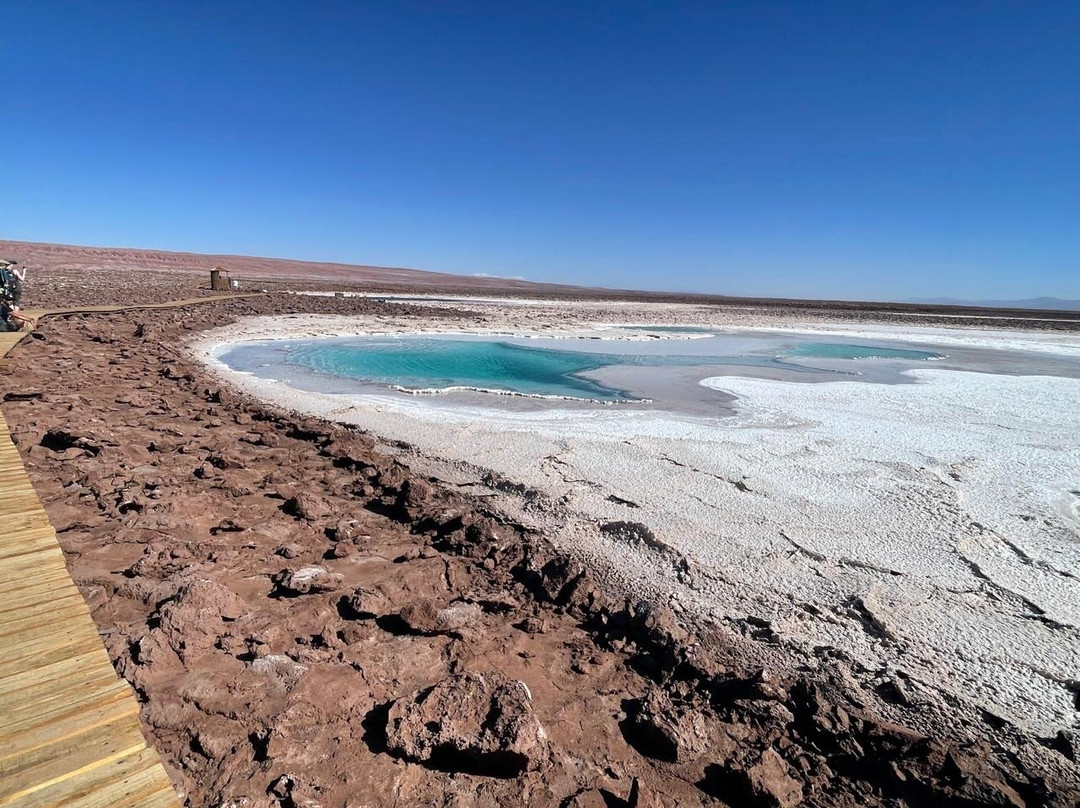 Lagunas Baltinache-圣佩德罗-德阿塔卡马必去景点