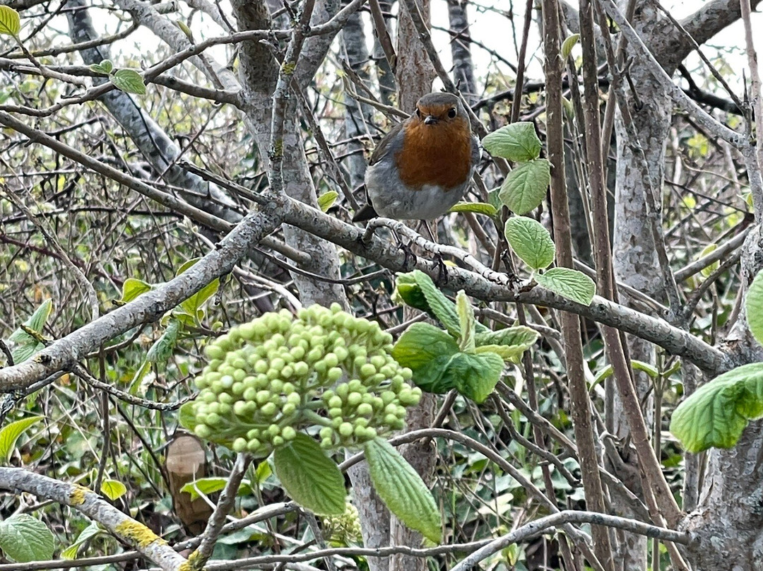 RSPB Conwy Nature Reserve-Llandudno Junction必去景点