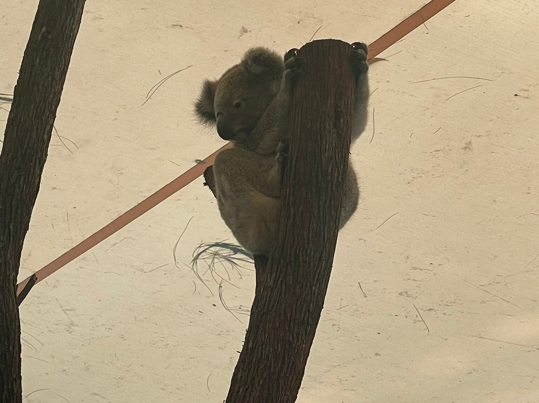 Hartley's Crocodile Adventures-Wangetti必去景点