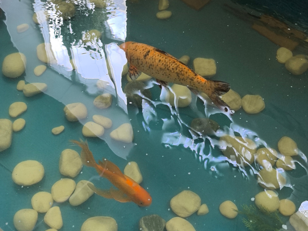 Strana Enotiya-克拉斯诺亚尔斯克必去景点