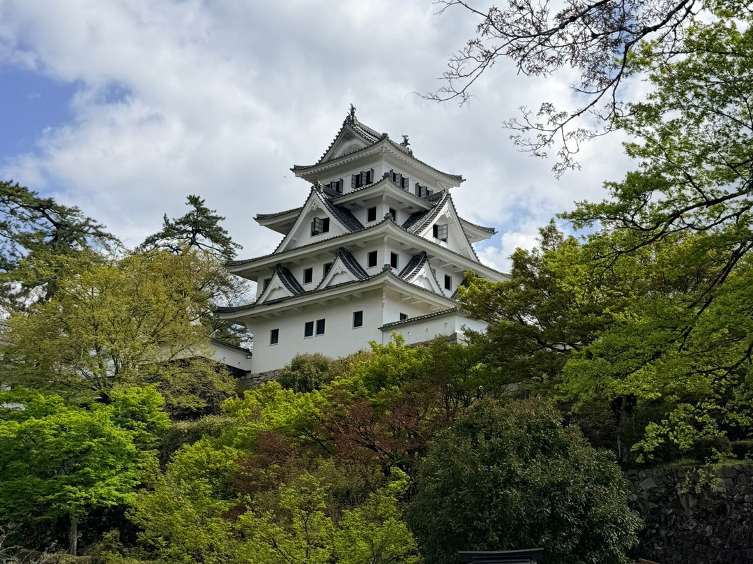 Gujo Hachiman Castle-郡上市必去景点