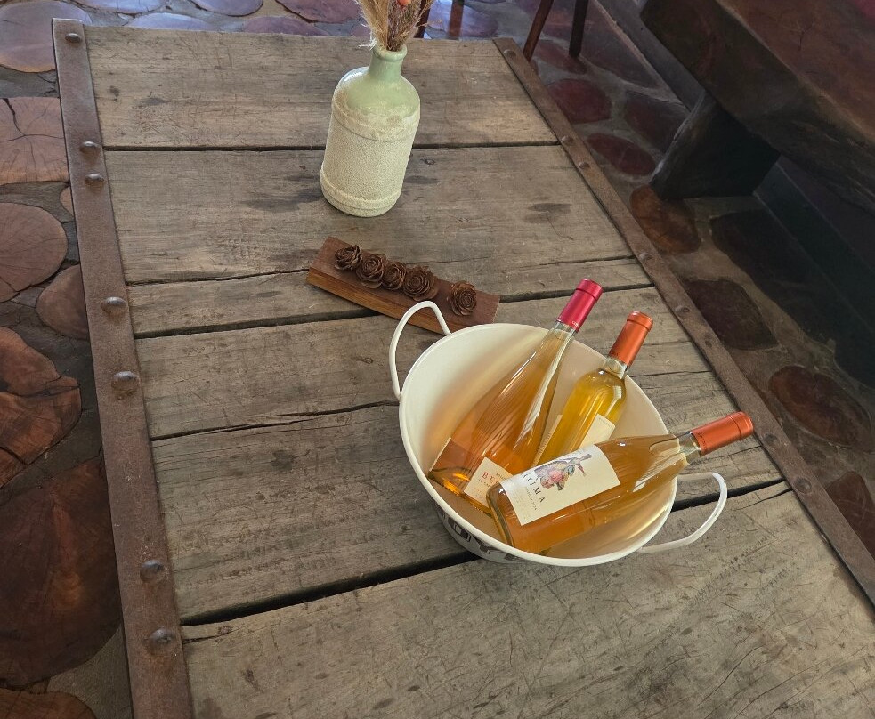 Bodega Goyenechea-圣拉斐尔必去景点