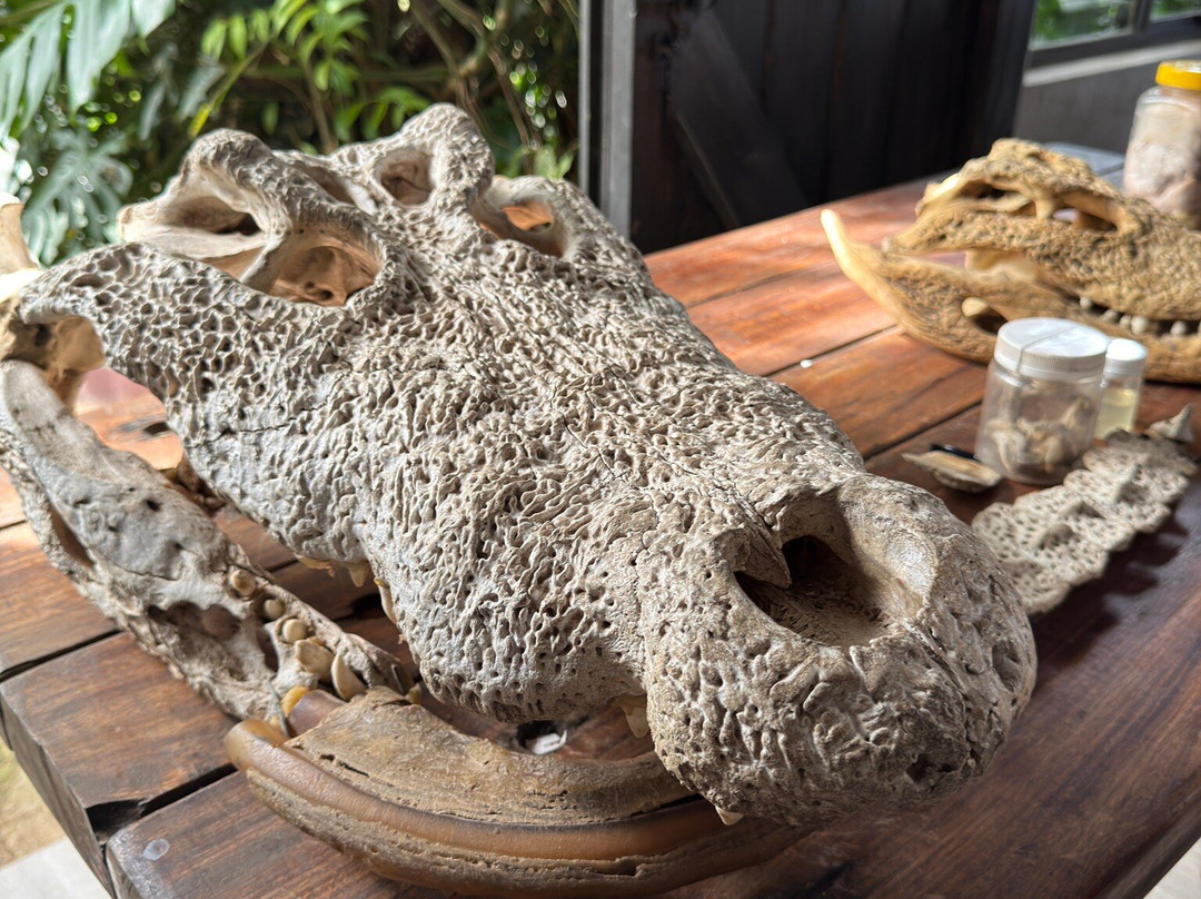 Crocodile Creek-Tongaat必去景点