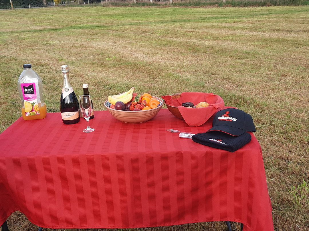 Ballooning Canterbury - Hot Air Balloon Rides-Darfield必去景点