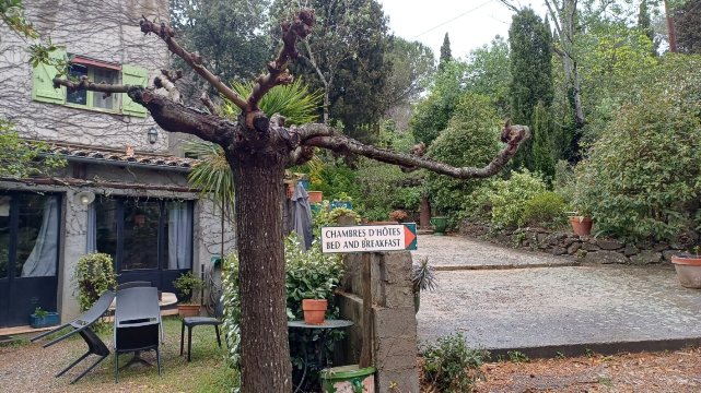 考林庄园酒店-旅行者