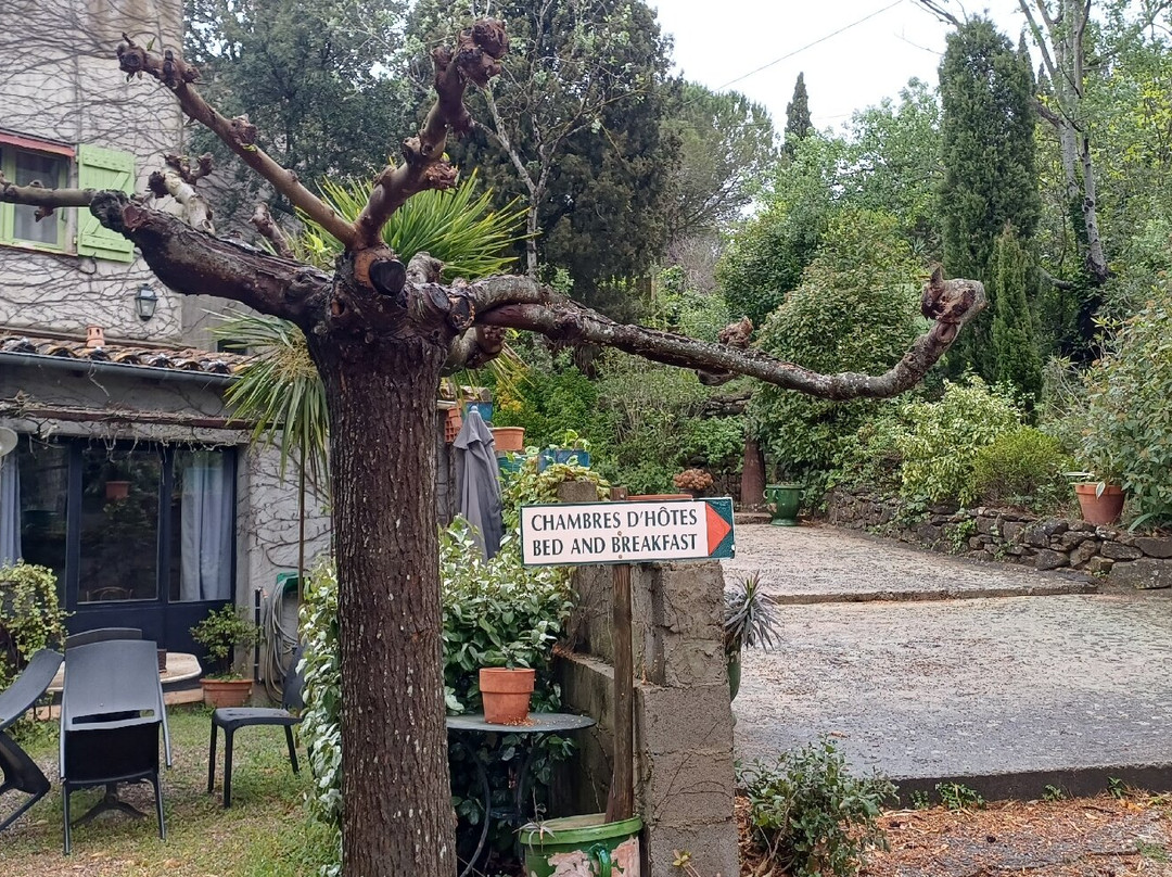 考林庄园酒店主图