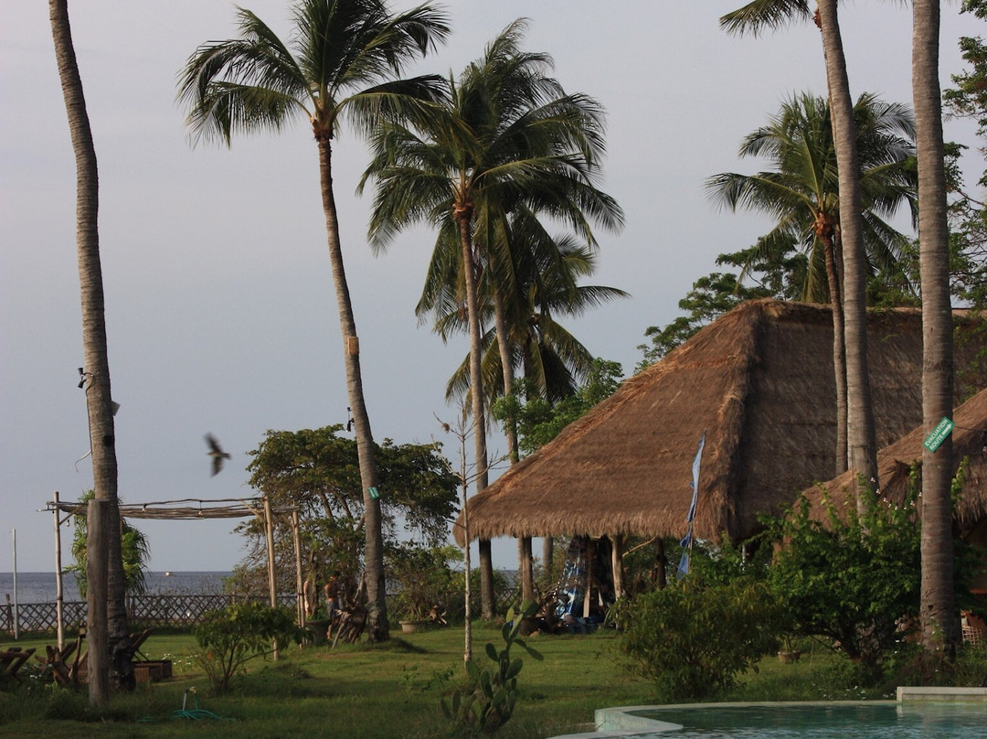 布鲁马蒂斯吉利阿萨汉主图