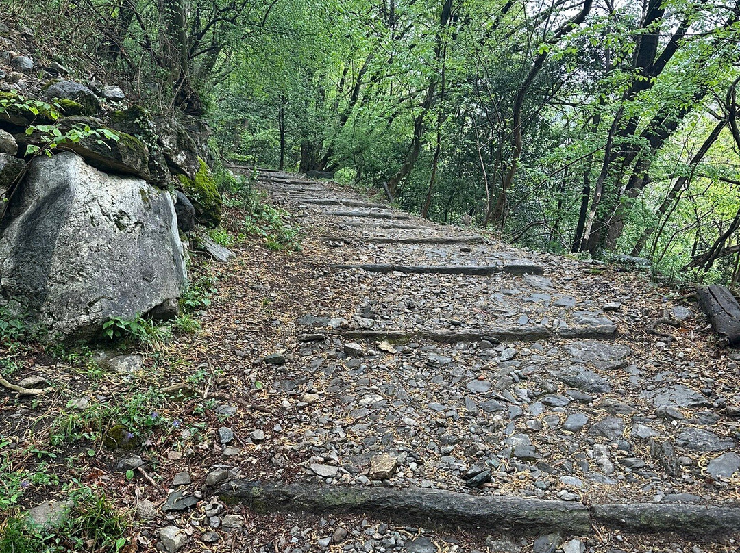科莫-布鲁纳特电缆车-科莫必去景点
