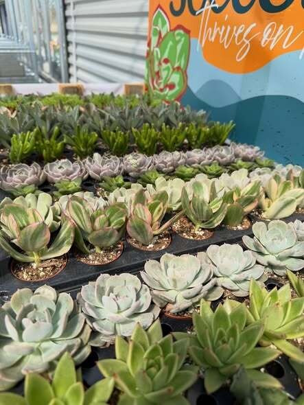 Gatewood Vegetable Farm & Greenhouses, Inc.-Noblesville必去景点