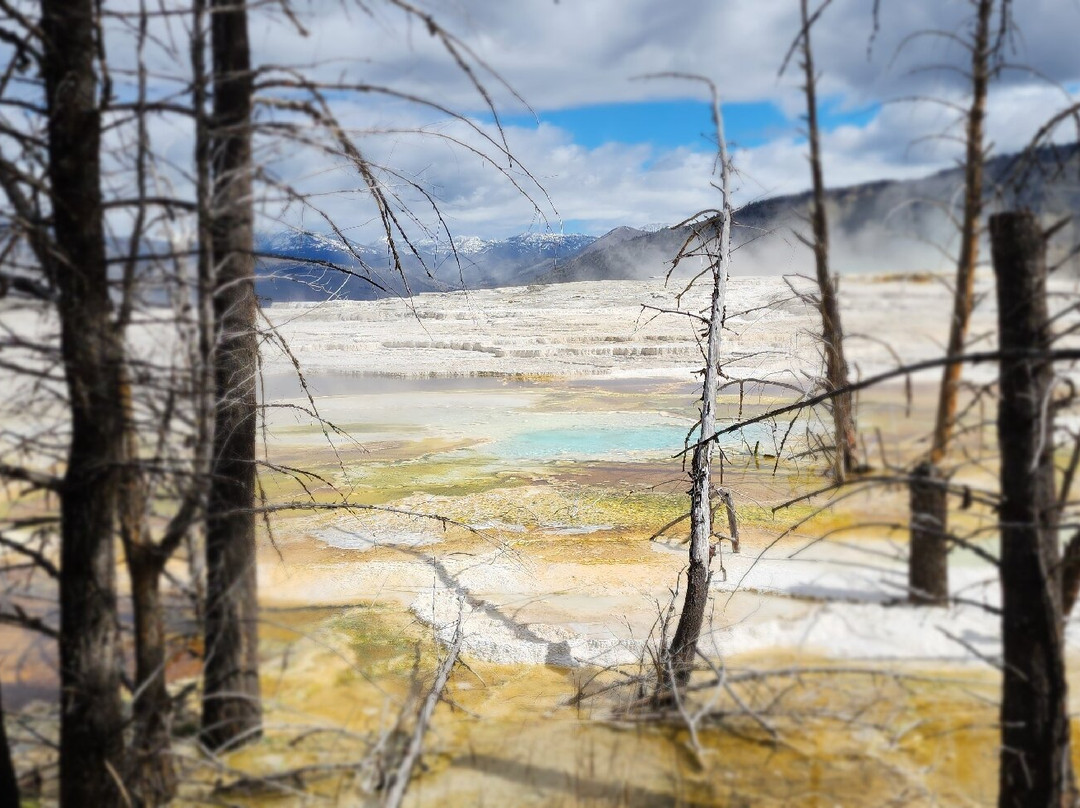 Palette Spring-黄石国家公园必去景点