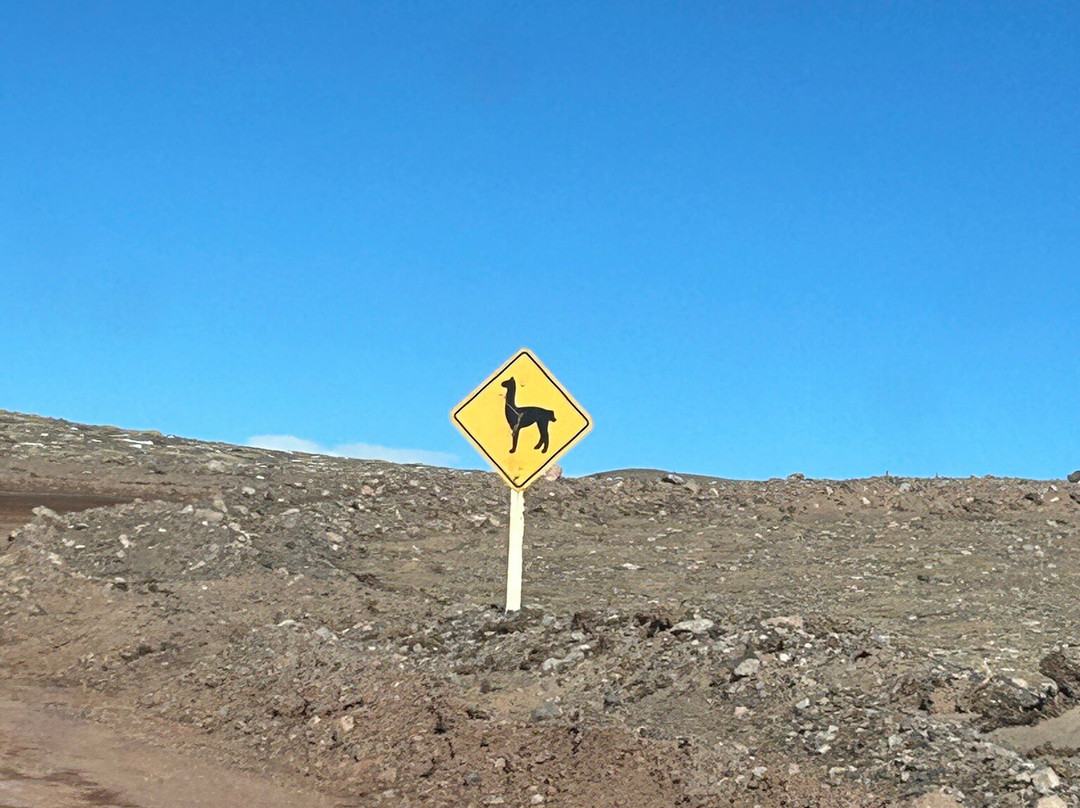 Posada Las Canas主图