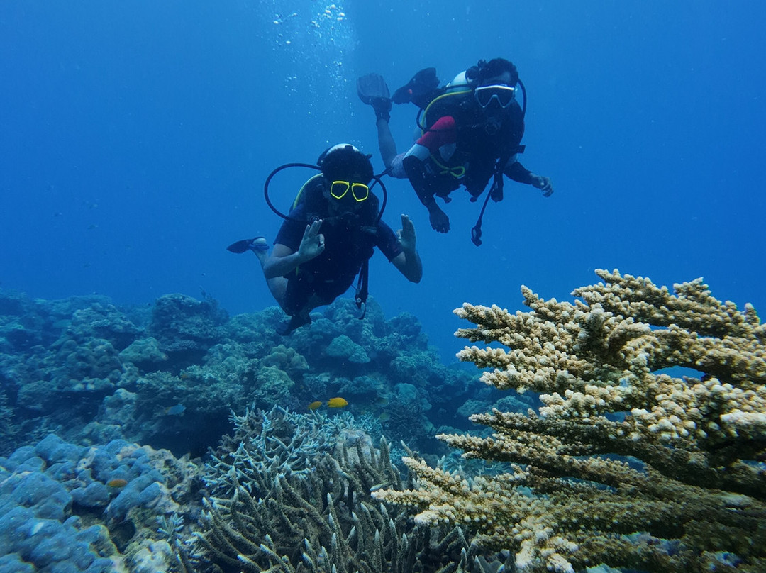 Turquoise Dream-Neil Island必去景点